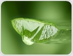 How Aloe vera's medicinal properties make it essential in medicine, cosmetics, and food products