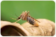 CRISPR-based genetic technique eradicates malaria mosquitoes with over 99% efficiency
